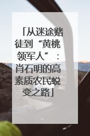 从迷途赌徒到“黄桃领军人”：肖石明的高素质农民蜕变之路
