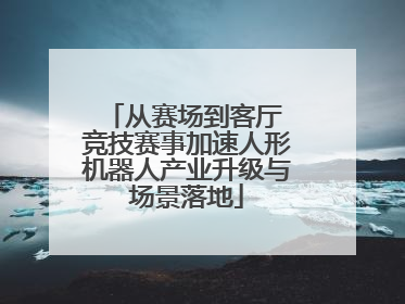 从赛场到客厅 竞技赛事加速人形机器人产业升级与场景落地