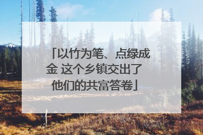 以竹为笔、点绿成金 这个乡镇交出了他们的共富答卷