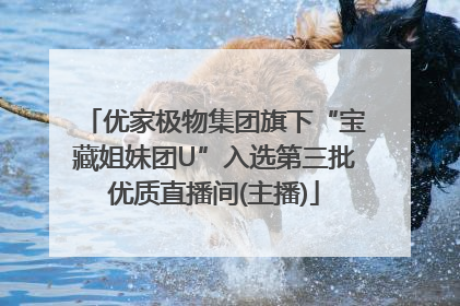 优家极物集团旗下“宝藏姐妹团U”入选第三批优质直播间(主播)