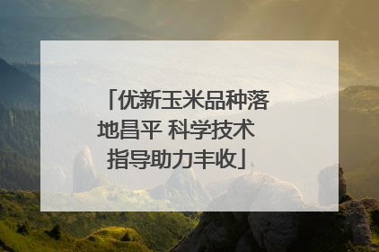 优新玉米品种落地昌平 科学技术指导助力丰收