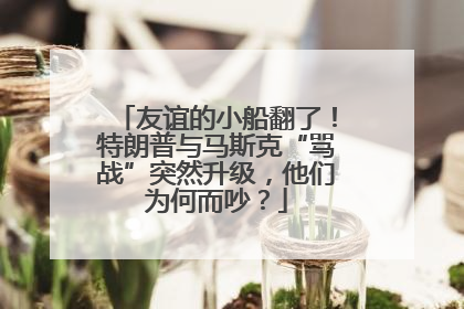 友谊的小船翻了！特朗普与马斯克“骂战”突然升级，他们为何而吵？