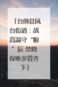 台前县凤台街道：战高温守“粮”辰 禁烧保收多管齐下