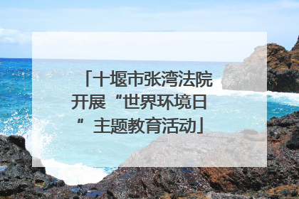 十堰市张湾法院开展“世界环境日”主题教育活动
