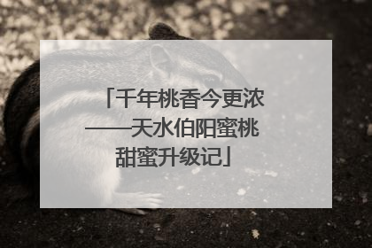 千年桃香今更浓——天水伯阳蜜桃甜蜜升级记