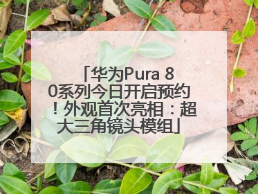 华为Pura 80系列今日开启预约！外观首次亮相：超大三角镜头模组