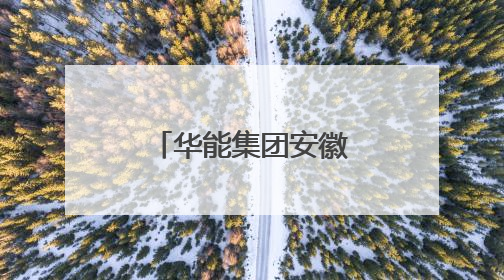 华能集团安徽分公司党委书记马冰武履新华电集团副总经理