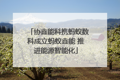 协鑫能科携蚂蚁数科成立蚂蚁鑫能 推进能源智能化