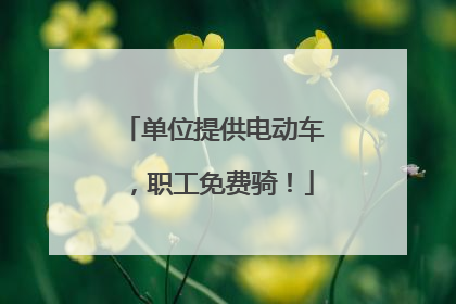 单位提供电动车，职工免费骑！