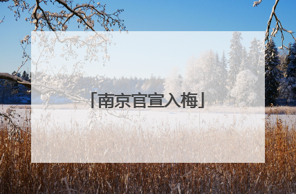 南京官宣入梅