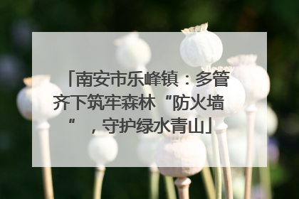南安市乐峰镇：多管齐下筑牢森林“防火墙”，守护绿水青山