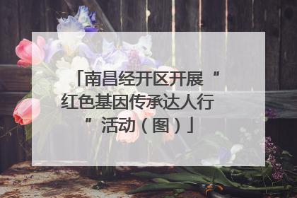 南昌经开区开展“红色基因传承达人行”活动（图）