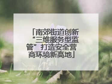 南郊街道创新“三维服务型监管”打造安全营商环境新高地