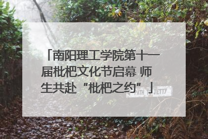 南阳理工学院第十一届枇杷文化节启幕 师生共赴“枇杷之约”