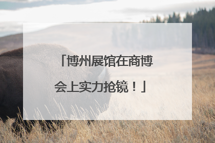 博州展馆在商博会上实力抢镜！