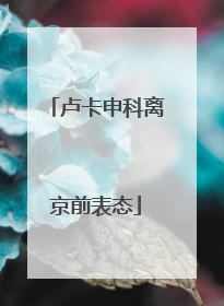 卢卡申科离京前表态