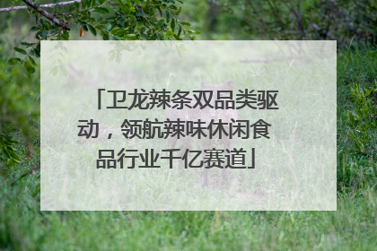 卫龙辣条双品类驱动，领航辣味休闲食品行业千亿赛道