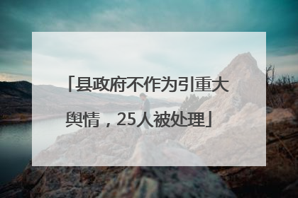 县政府不作为引重大舆情，25人被处理
