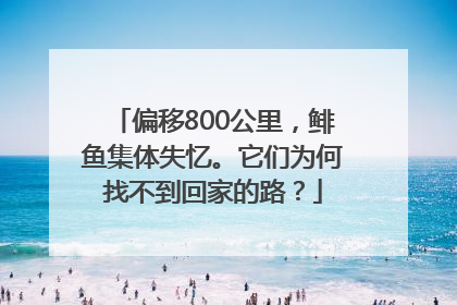 偏移800公里，鲱鱼集体失忆。它们为何找不到回家的路？