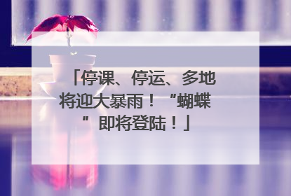 停课、停运、多地将迎大暴雨！“蝴蝶”即将登陆！