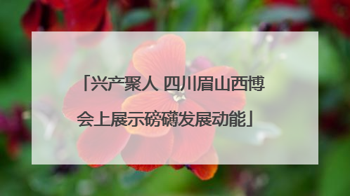 兴产聚人 四川眉山西博会上展示磅礴发展动能