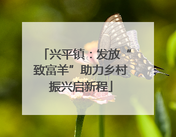 兴平镇：发放“致富羊”助力乡村振兴启新程