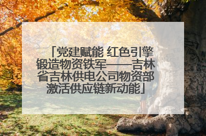 党建赋能 红色引擎锻造物资铁军——吉林省吉林供电公司物资部激活供应链新动能
