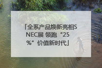 全系产品焕新亮相SNEC展 领跑“25%”价值新时代
