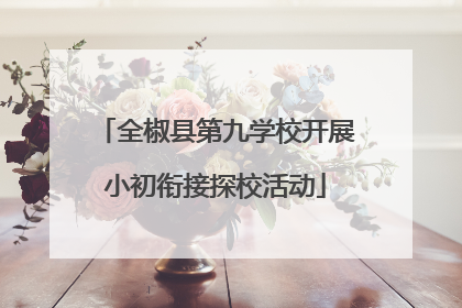 全椒县第九学校开展小初衔接探校活动