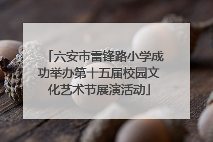 六安市雷锋路小学成功举办第十五届校园文化艺术节展演活动