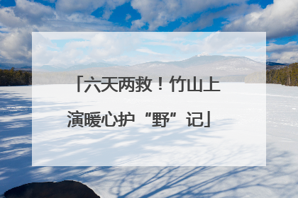 六天两救！竹山上演暖心护“野”记