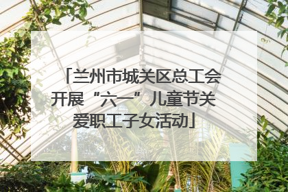 兰州市城关区总工会开展“六一”儿童节关爱职工子女活动