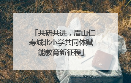 共研共进，眉山仁寿城北小学共同体赋能教育新征程