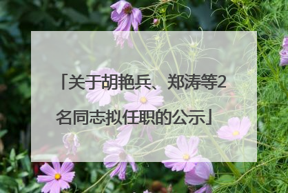 关于胡艳兵、郑涛等2名同志拟任职的公示