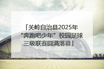 关岭自治县2025年“奔跑吧少年”校园足球三级联赛圆满落幕