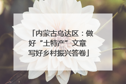 内蒙古乌达区：做好“土特产”文章 写好乡村振兴答卷