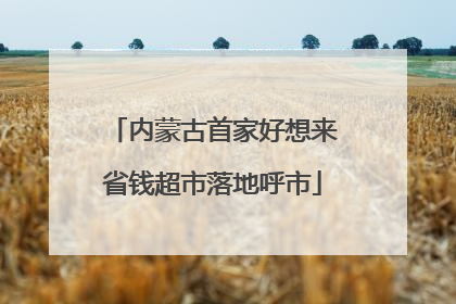 内蒙古首家好想来省钱超市落地呼市