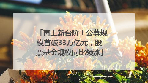 再上新台阶！公募规模首破33万亿元，股票基金规模同比领涨