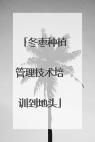 冬枣种植管理技术培训到地头