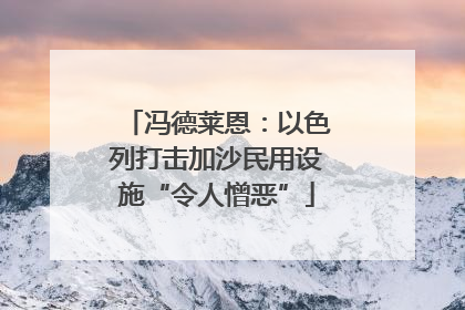 冯德莱恩：以色列打击加沙民用设施“令人憎恶”