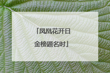 凤凰花开日 金榜题名时