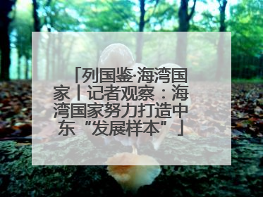 列国鉴·海湾国家丨记者观察：海湾国家努力打造中东“发展样本”