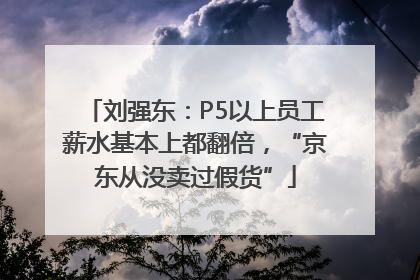 刘强东：P5以上员工薪水基本上都翻倍，“京东从没卖过假货”