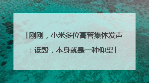 刚刚，小米多位高管集体发声：诋毁，本身就是一种仰望