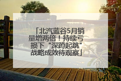 北汽蓝谷5月销量增两倍！持续亏损下“深蹲起跳”战略成效待观察
