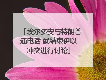埃尔多安与特朗普通电话 就结束伊以冲突进行讨论