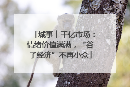 城事︱千亿市场：情绪价值满满，“谷子经济”不再小众