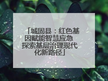城固县：红色基因赋能智慧应急 探索基层治理现代化新路径