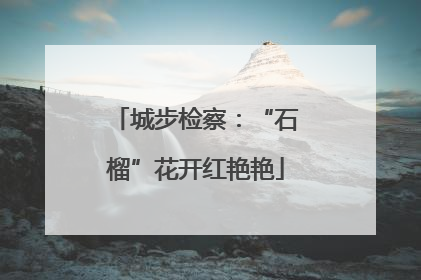 城步检察：“石榴”花开红艳艳