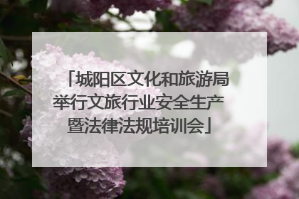 城阳区文化和旅游局举行文旅行业安全生产暨法律法规培训会